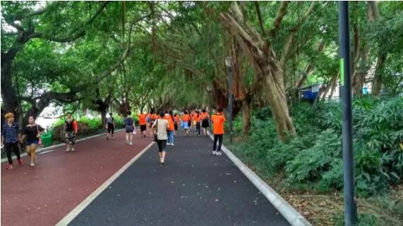 金沛教育全體教育工作者在南湖進(jìn)行健步走 金沛教育全體教育工作者在南湖進(jìn)行健步走