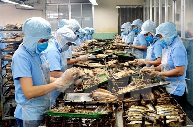 附圖：2018年前兩月越南水產(chǎn)品出口額同比增長(zhǎng)近30%。（圖片來(lái)源：越通社）